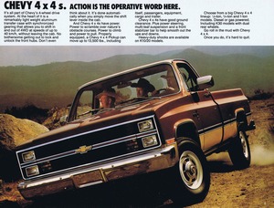 1983 Chevrolet Full Size Pickups (Cdn)-05.jpg